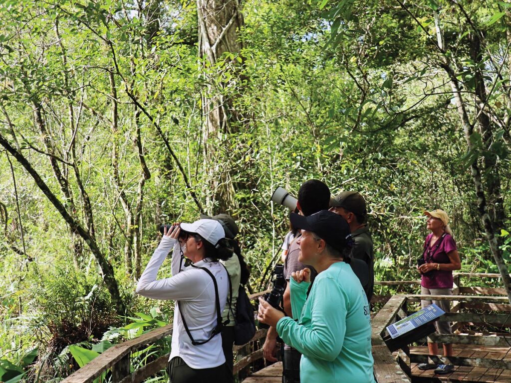 Celebrate Latino Conservation Week at Audubon’s Corkscrew Swamp Sanctuary September 19. Photo by Jeff Boyle