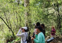 Celebrate Latino Conservation Week at Audubon’s Corkscrew Swamp Sanctuary September 19. Photo by Jeff Boyle