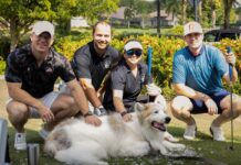 Photo courtesy of Shy Wolf Sanctuary
